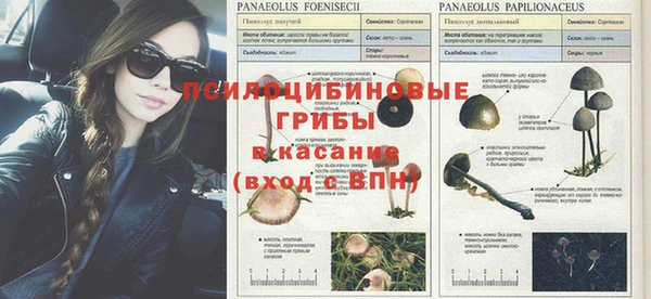 spice Переславль-Залесский