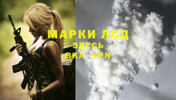 спайс Пересвет
